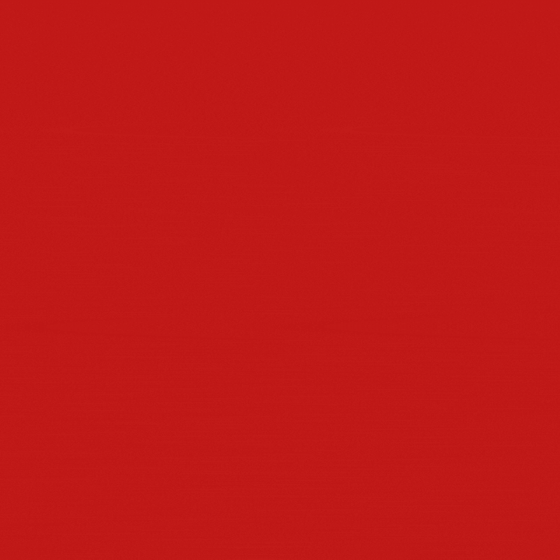 logo Hospital das panelas